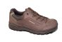Lowa Renegade Evo GTX Lo bruin wandelschoen