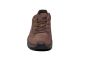 Lowa Renegade Evo GTX Lo bruin wandelschoen