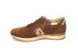 Gabor sneaker in cognac suede